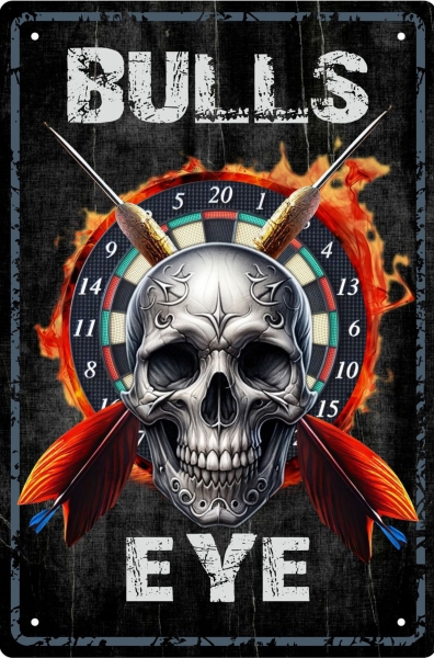 Blechschild - Bulls Eye (Darts) - (450)