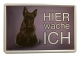 Blechschild - Hier wache ich - Scottish Terrier (167) +++EINZELSTÜCK+++
