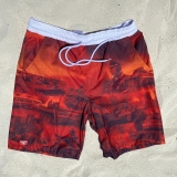 Badehose - Sommeroffensive - Panzer vor